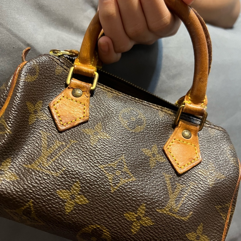 Authentic LV NANO SPEEDY